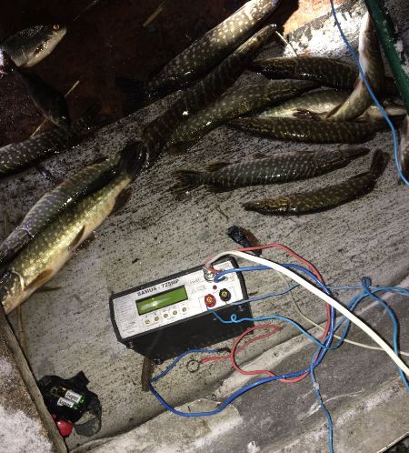 На Херсонщині браконьєри глушили рибу електрострумом